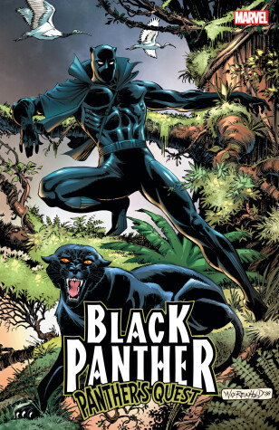 Book cover for Black Panther: Panther's Quest