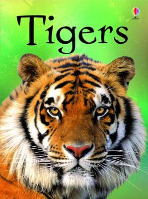 Book cover for Tigers Internet Referenced