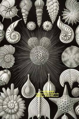 Book cover for Ernst Haeckel Thalamophora Seashells 100 Page Lined Journal