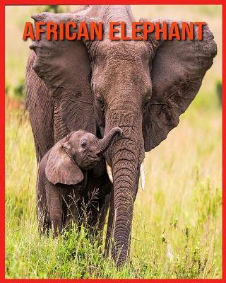 Book cover for African Elephant