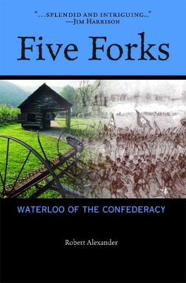Book cover for Five Forks