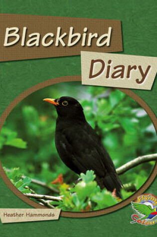 Cover of Black Bird Diary