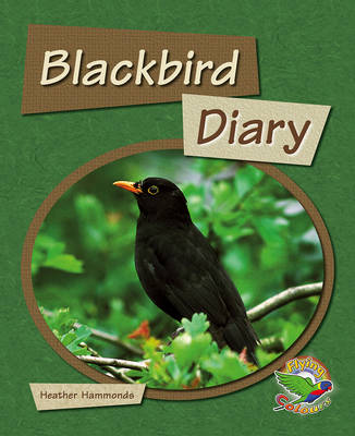 Book cover for Black Bird Diary