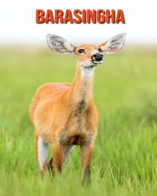 Book cover for Barasingha