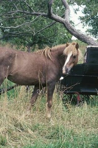 Cover of 2020 Daily Planner Horse Photo Equine Horse Vintage Buggy 388 Pages