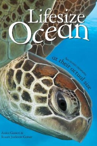 Cover of Lifesize Ocean
