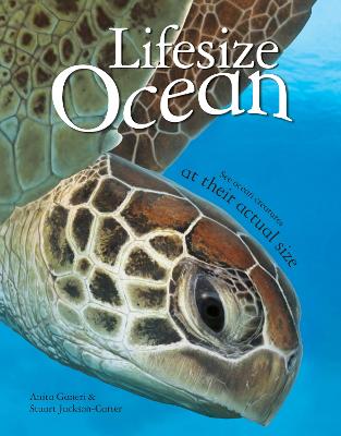 Book cover for Lifesize Ocean