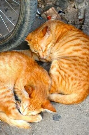 Cover of Two Orange Cats Taking an Afternoon Nap Journal