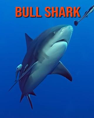 Book cover for Bull Shark