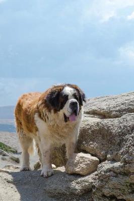 Book cover for My Saint Bernard Notebook