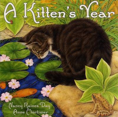 Book cover for Kitten's Year Pb