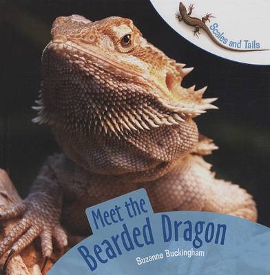 Cover of Meet the Bearded Dragon