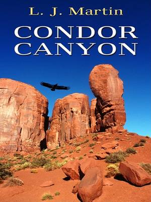 Book cover for Condor Canyon