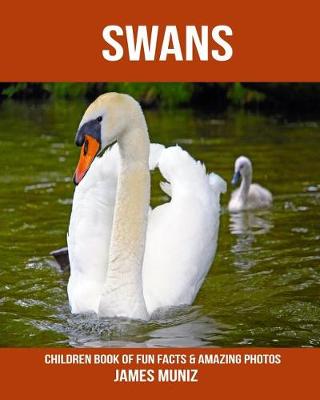 Book cover for Swans