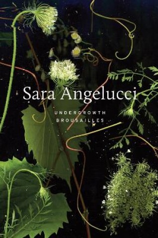 Cover of Sara Angelucci: Undergrowth / Brousailles