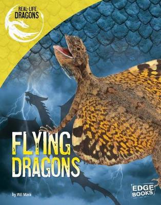 Book cover for Real-Life Dragons Flying Dragons