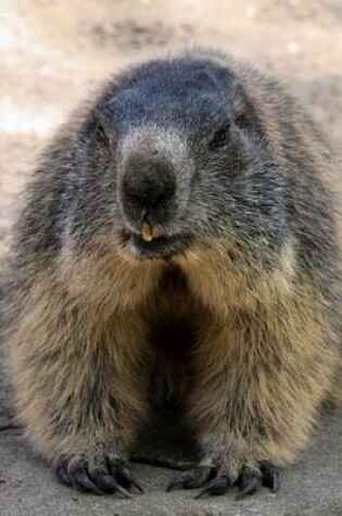 Cover of Marmot Alpine Rodent Journal