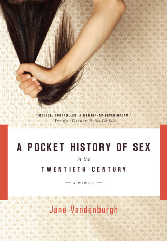 Book cover for A Pocket History of Sex in the Twentieth Century