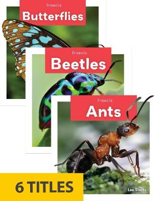 Book cover for Insects (Set of 6)