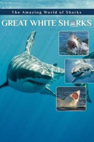 Cover of Great White Sharks