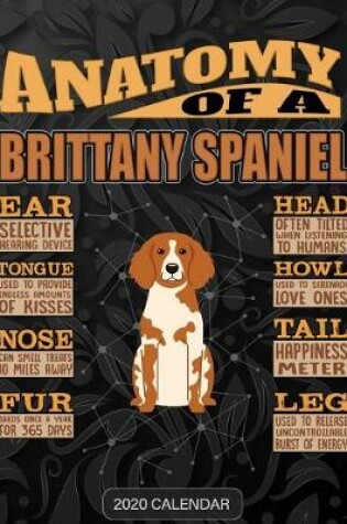 Cover of Anatomy Of A Brittany Spaniel