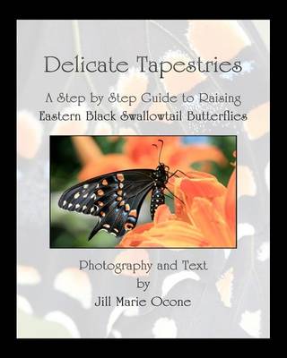 Book cover for Delicate Tapestries
