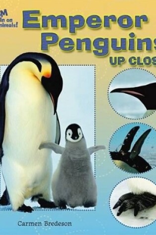 Cover of Emperor Penguins Up Close