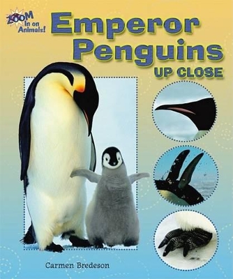 Cover of Emperor Penguins Up Close