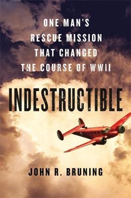 Book cover for Indestructible