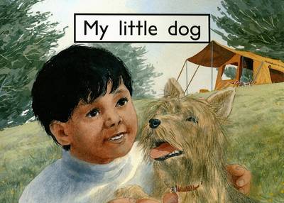 Book cover for My Little Dog