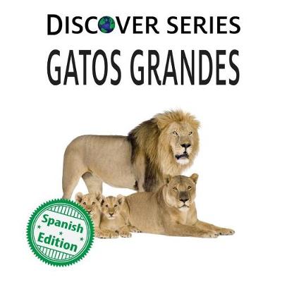 Book cover for Gatos Grandes