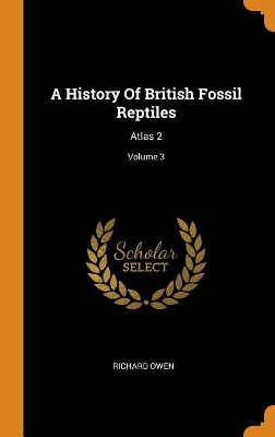 Book cover for A History of British Fossil Reptiles