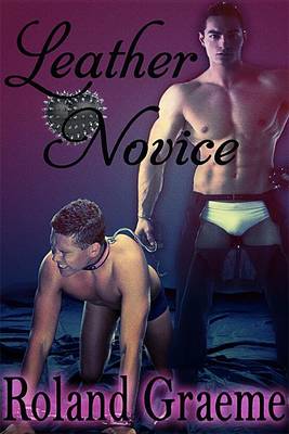 Book cover for Leather Novice