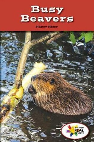 Cover of Busy Beavers