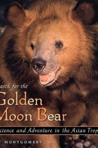 Cover of Search for the Golden Moon Bear