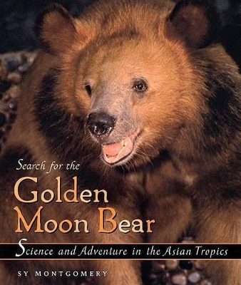 Book cover for Search for the Golden Moon Bear
