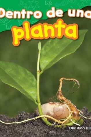 Cover of Dentro de una planta (Inside a Plant)