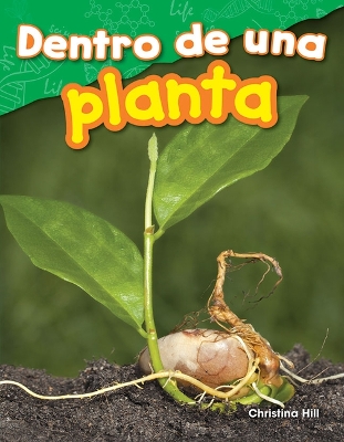 Book cover for Dentro de una planta