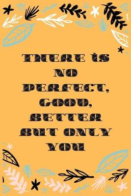 Book cover for There is no perfect, good, better but only you