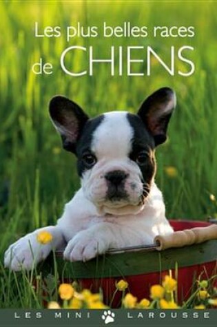 Cover of Les Plus Belles Races de Chiens