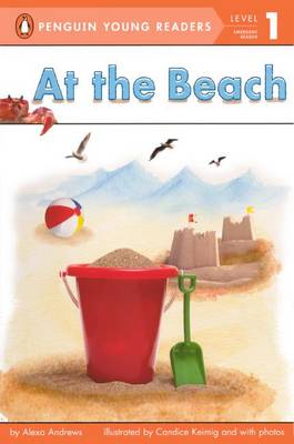 Book cover for At the Beach