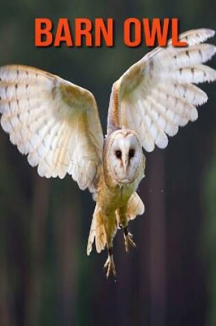 Cover of Barn owl