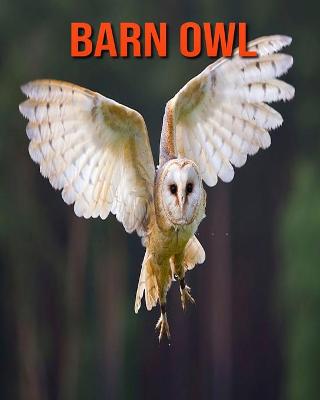 Book cover for Barn owl