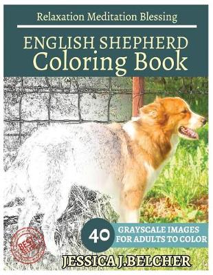 Book cover for English Shepherd Coloring Book for Adults Relaxation Meditation Blessing