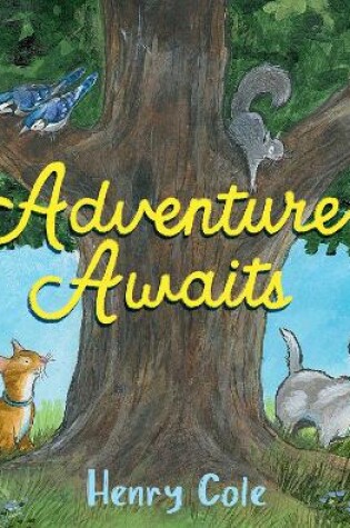 Cover of Adventure Awaits