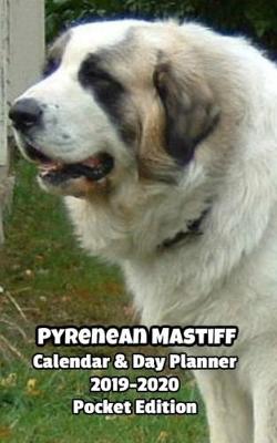 Book cover for Pyrenean Mastiff Calendar & Day Planner 2019-2020 Pocket Edition