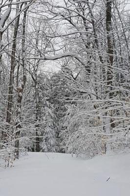 Book cover for Journal Winter Weather Scenic Beauty