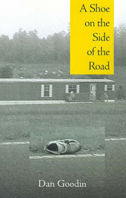 Book cover for A Shoe on the Side of the Road