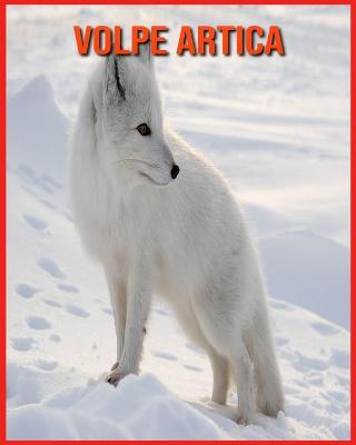 Book cover for Volpe Artica