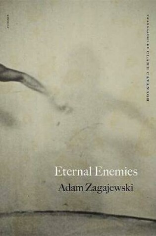 Cover of Eternal Enemies